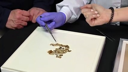 Manuscrito bíblico de 2.000 anos