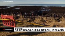 شاهد: جثة حوت نافق في أيسلندا تثير الفضول