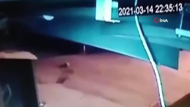 Köpeği ezdi, arkasına bakmadan böyle gitti