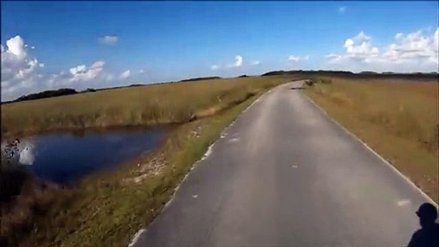 Ce cycliste pense voir un gros baton en bord de route, ce qu'il découvre est tout autre