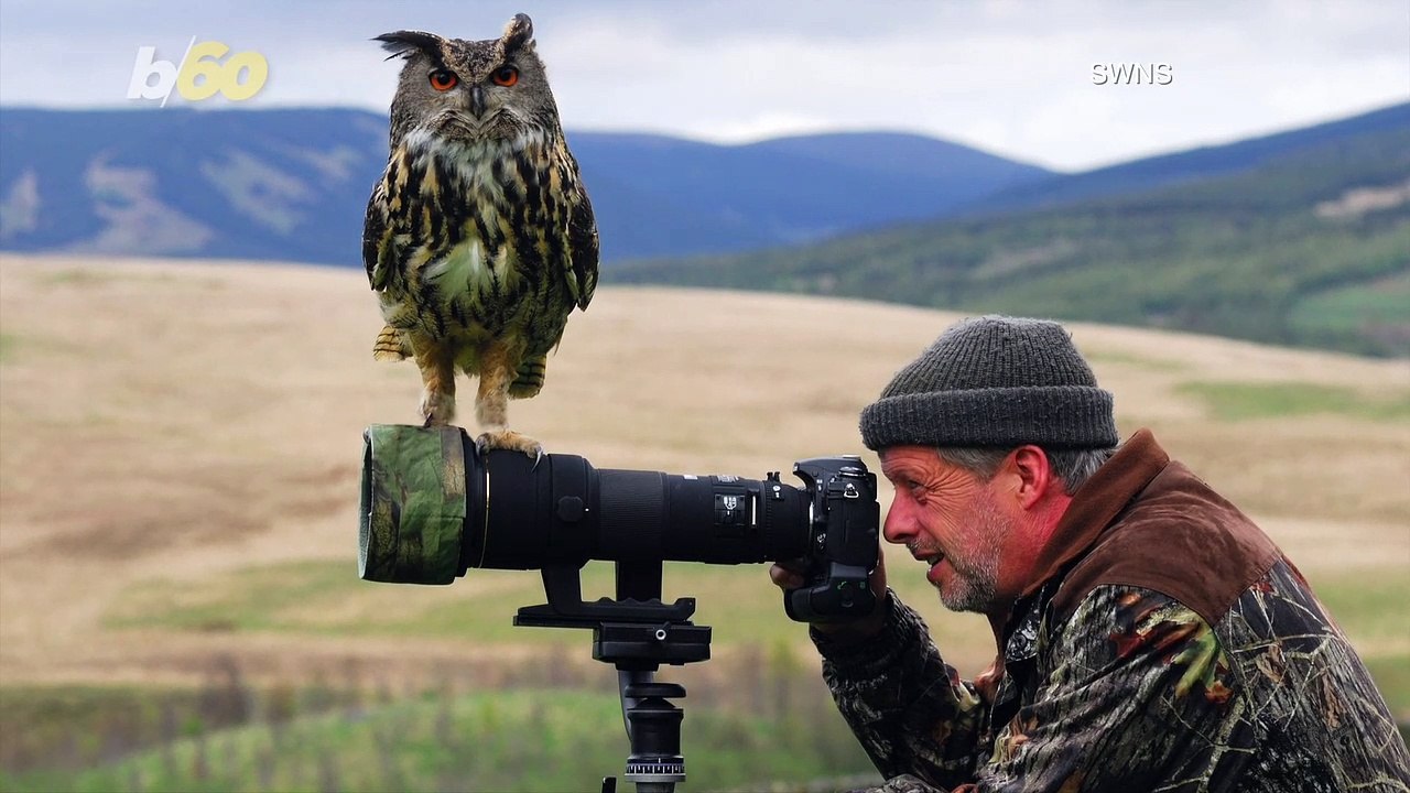 What a Hoot! Wife Outshines Wildlife Photograph...