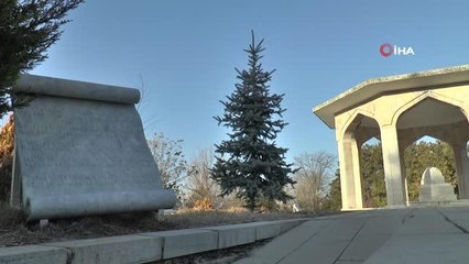 2021 yılının 'Yunus Emre ve Türkçe Yılı' ilanı sevinçle karşılandı