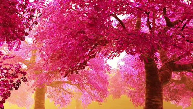 30 Minute Deep Sleep Music, Sleep Meditation, Calm Music, Relaxing Music, Fall Asleep, Relax