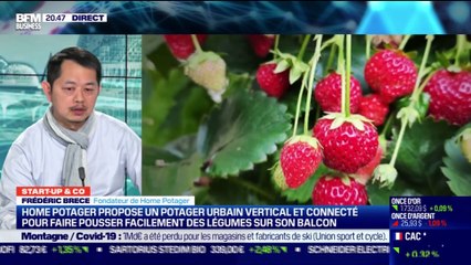 Start up & co : Home Potager propose un potager urbain vertical et connecté pour faire pousser facilement des légumes depuis son balcon - 16/03