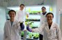 Científicos de la NTU Singapur desarrollan un dispositivo para 'comunicarse' con las plantas