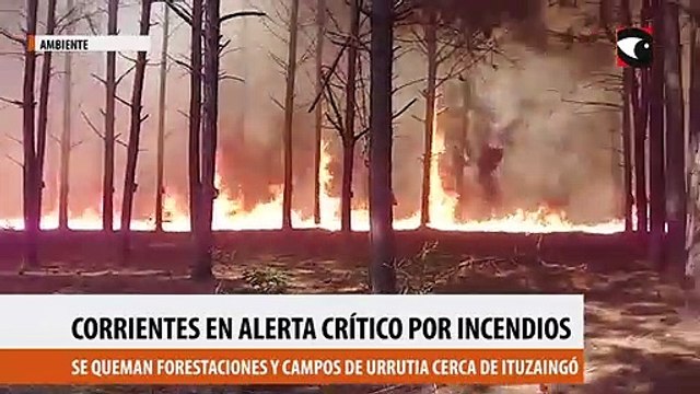 Corrientes en alerta critico por incendios forestales