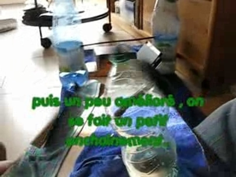 Cactus en séance agility