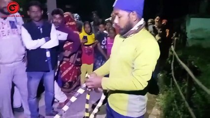 শাখামুটি সাপ উদ্ধার করতে গিয়ে যা অবস্থার সম্মুখীন হতে হলো দেখুন_banded krait_venomous snake_ rescue_