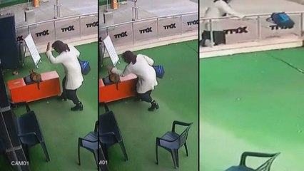 Hamile kediye önce vurdu sonra da elindeki çantayı fırlattı