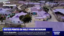 En Corée du Sud, deux îles ont été repeintes en violet pour attirer les touristes