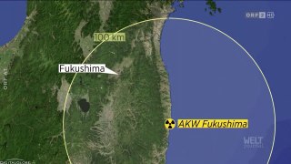 Fukushima - die endlose Katastrophe