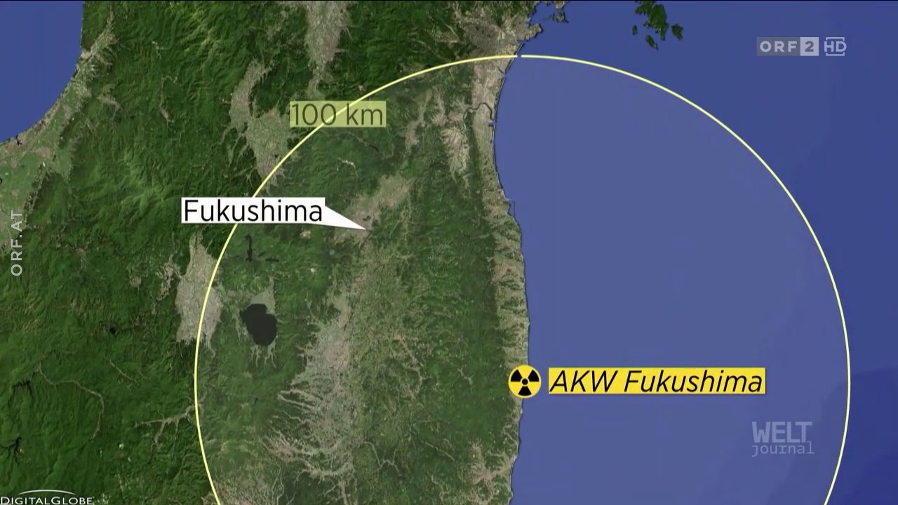 Fukushima - die endlose Katastrophe