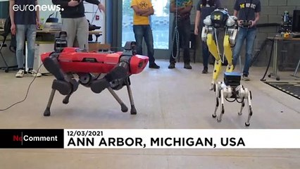 شاهد: تعاون بين فورد وجامعة ميشيغان لتطوير روبوتات تساعد على تحسين الحياة