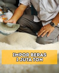 Ada Wacana Impor Beras 1 Juta Ton, Gimana Nasib Petani?