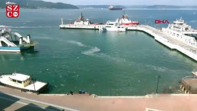 Denizi kaplayan 'müsilaj', balıkçının kabusu oldu