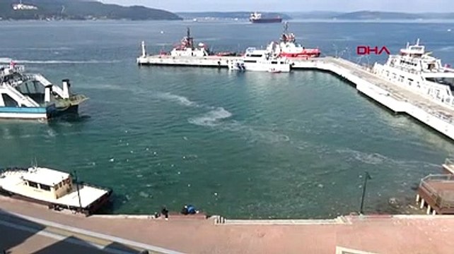 Denizi kaplayan 'müsilaj', balıkçının kabusu oldu