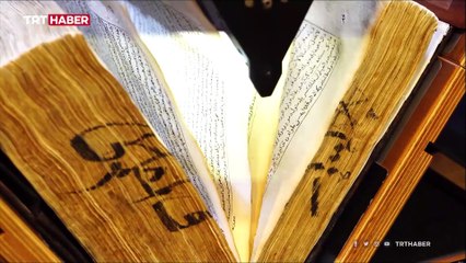 Tarihe ışık tutan proje: Wikilala