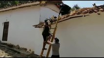 Un rebaño de cabras aparece sobre un tejado en Colombia