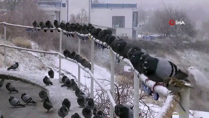 Karla Birlikte Peribacaları Kartpostallık Görüntüler Verdi