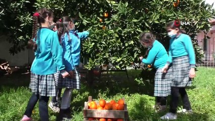 Efeler diyarı Aydın'dan, Şehitler diyarı Gelibolu'ya gönül köprüsü