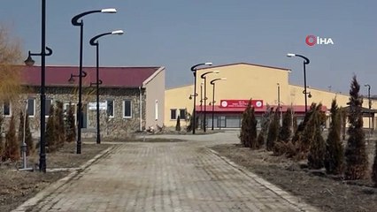 Son 100 yılda sadece iki kez görülen yakalı toy kuşunun tedavisi bitti