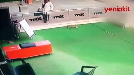 Kadının hamile kediye yaptıkları pes dedirtti!