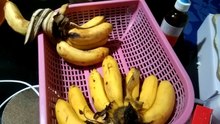 banana my favorite