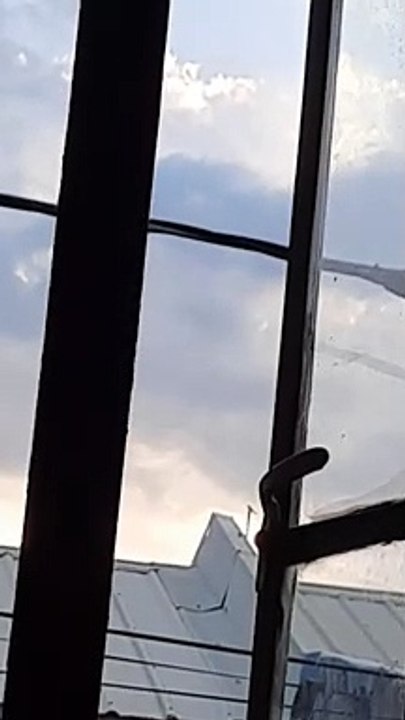 Window