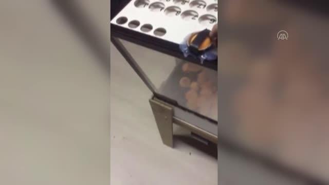Fatih'te kumar oynayan ve Kovid-19 tedbirlerini ihlal eden 28 kişiye para cezası yazıldı