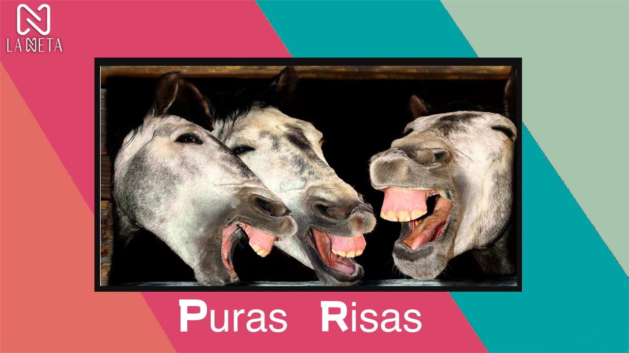 NUEVOS VIDEOS PARA MORIR DE LA RISA EN TIKTOK marzo 2021