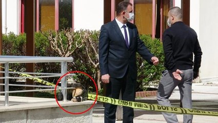 Üniversite bahçesinde insana ait bir kafatası bulundu