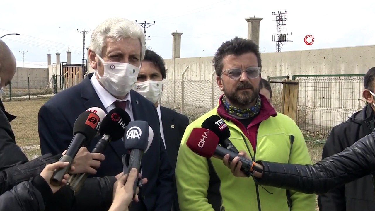 Türkiye’de ilk kez korona virüsü teşhis edebilen dedektör köpek yetiştirildi