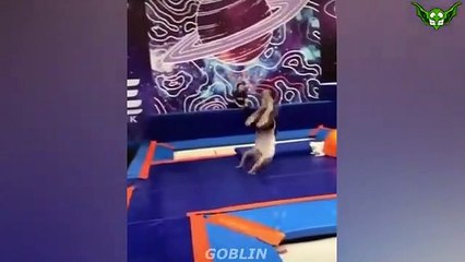 LIKE A BOSS COMPILATION _ AMAZING Videos _ЛайкЭбосс