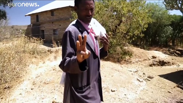 Etiopia, sdegno internazionale per la guerra del Tigrè: pulizia etnica