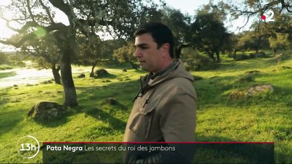 Espagne : les secrets de fabrication du jambon Pata Negra