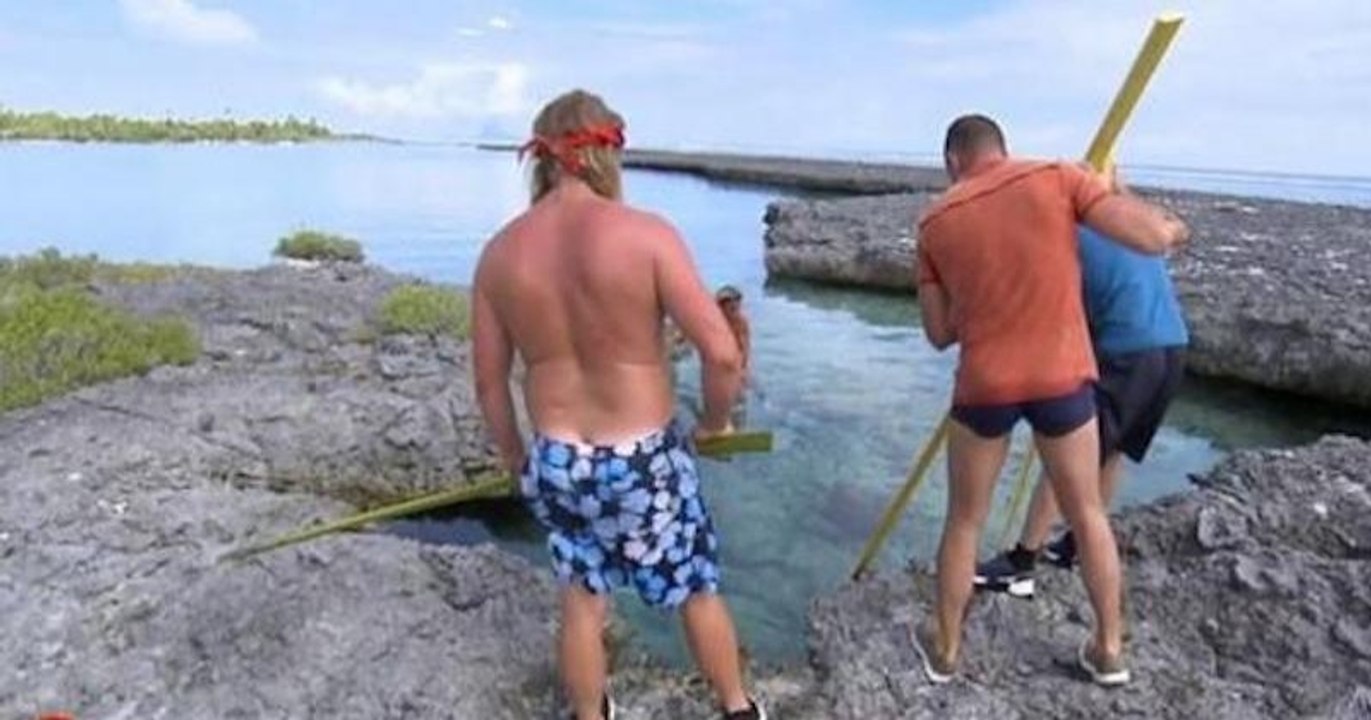 « Koh-Lanta » : l'association PETA interpelle TF1 pour dénoncer des actes de cruauté envers des animaux