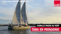 Tara en Patagonie - Camille Passe au Vert