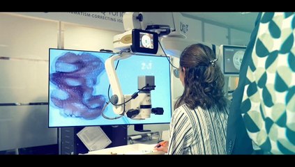 Docteur François AUCLIN - Opération de la Cataracte (World Congress of Innovation, 2018)