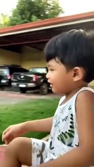 PLAYING WITH THE DOGS