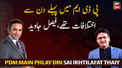 There were differences in PDM from day one, Faisal Javed