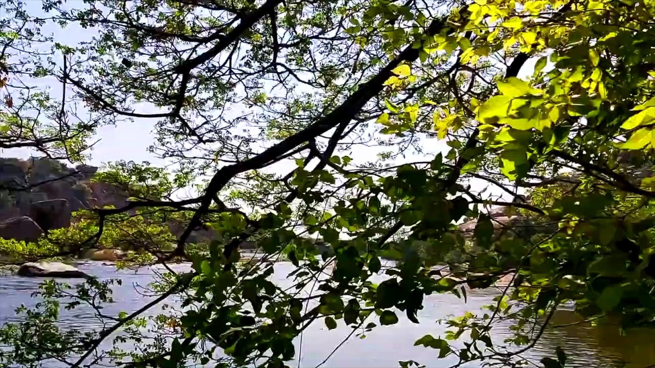Best Place To see