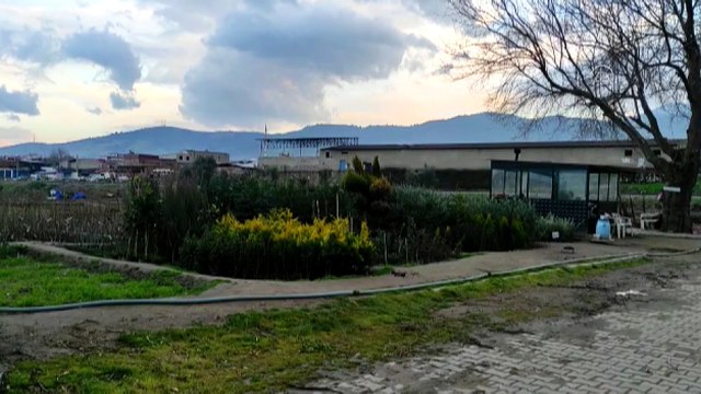 MANİSA - Bir fidanlıkta bulunan el bombası imha edildi