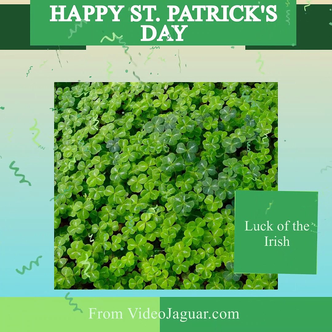 ⁣St. Patrick's Day Video Ad Template