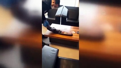 MERSİN - 'Tefeci' operasyonunda 6 zanlı yakalandı