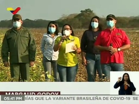 COJEDES | A través del Plan de Cosecha norte-verano se producirán 11 mil toneladas de frijol chino