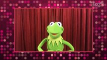 Kermit the Frog Says Missy Piggy Was Going to Be on 'Masked Singer' But 'Refused to Wear the Mask'