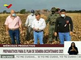 PORTUGUESA | Inicia temporada de cosecha de Frijol en Agropecuaria Villa Bruzual municipio Turén