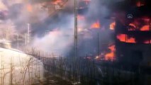ARTVİN - Dereiçi Köyü'nde yangın (2)