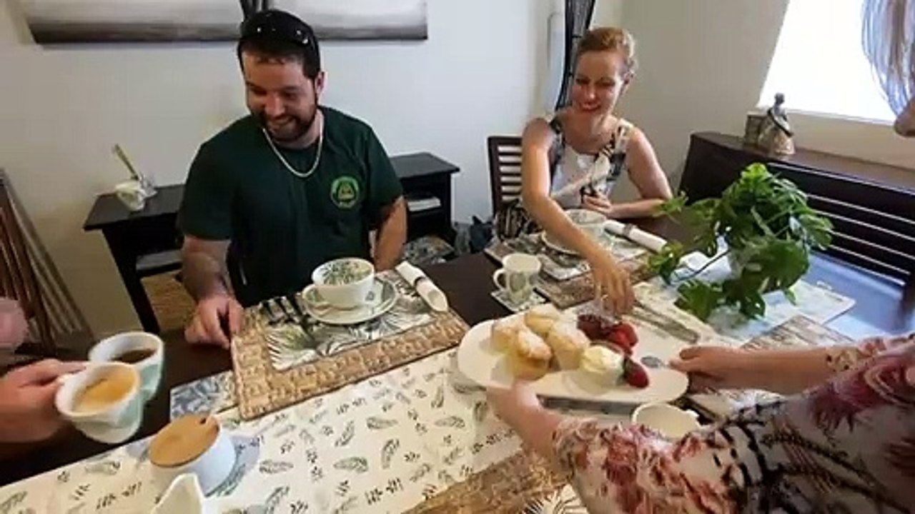 Cat Cafe proves a good remedy for mental and physical health