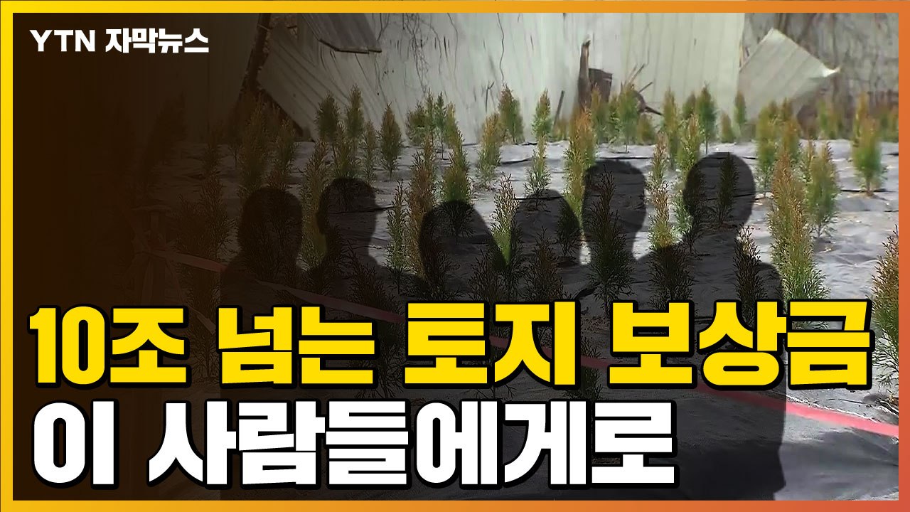 [자막뉴스] 3기 신도시 땅 주인 ¼은 '이 사람' / YTN